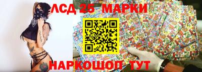 стаф Тара