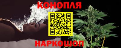 стаф Тара