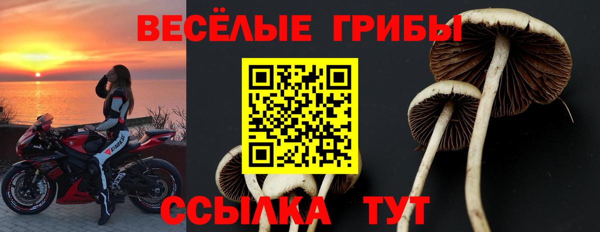 Галлюциногенные грибы Magic Shrooms  купить наркотик  Сорочинск  Вход с VPN 